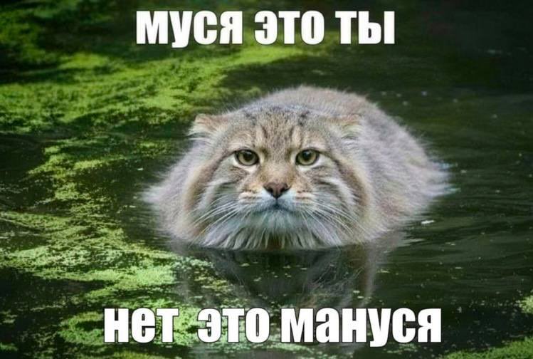 Александрова 🐝 tweet media