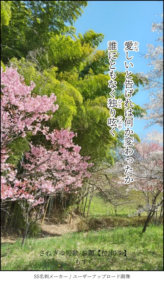 #さねぎゆ矢豆歌部
美しい季/節になりましたね。
お題【付/句⑨】で作りました。

なぜ寂しくなるのか
この美しい季節に