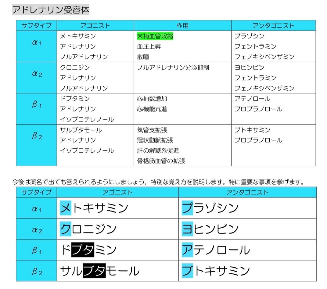 ロムニーハウス 歯科医師国家試験分析ノート 🦷国試ポイント アドレナリン受容体 ここは毎年のように問われます