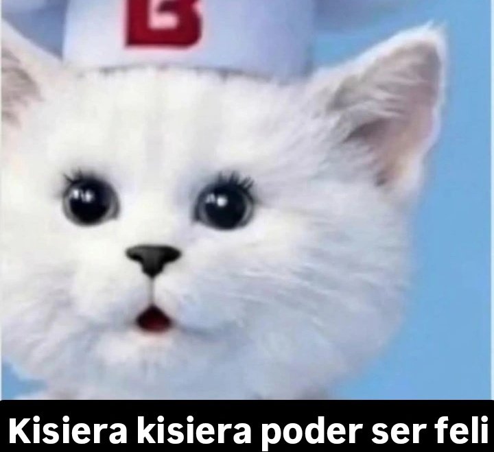 Maestre Mapaxito tweet media