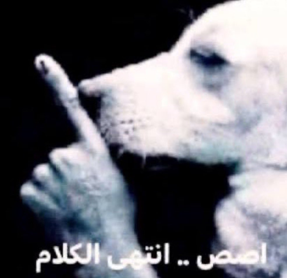 RTfahad1's tweet photo. @HzZAaF https://t.co/YE9mrtDCKU