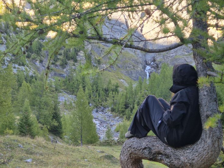 rust cohle tweet media