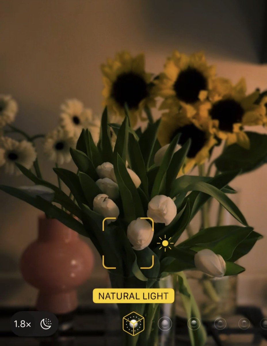 🪽لُجين tweet media