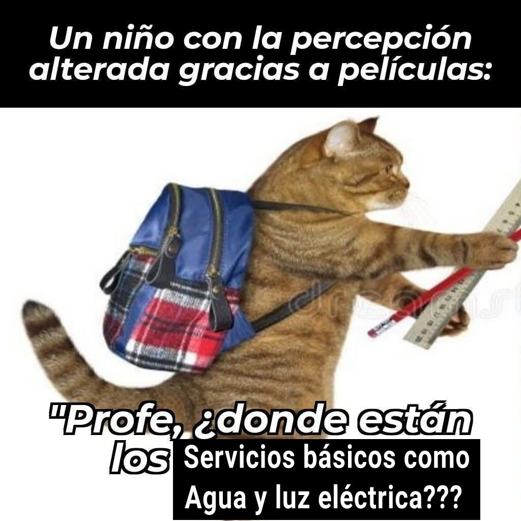 Recreo Shitpost tweet media