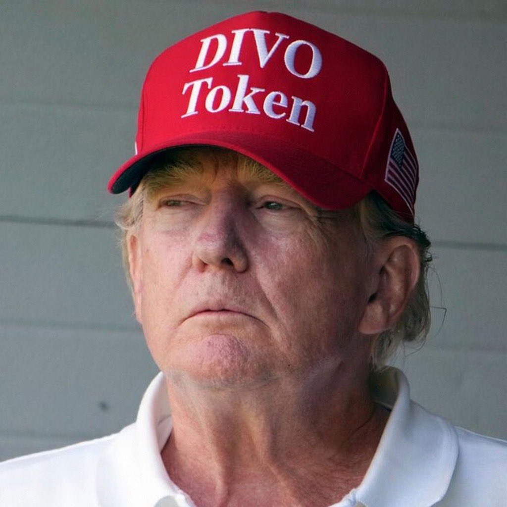 DIVO tweet media
