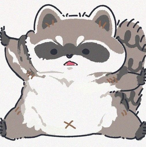 silly raccoons & pandas tweet media