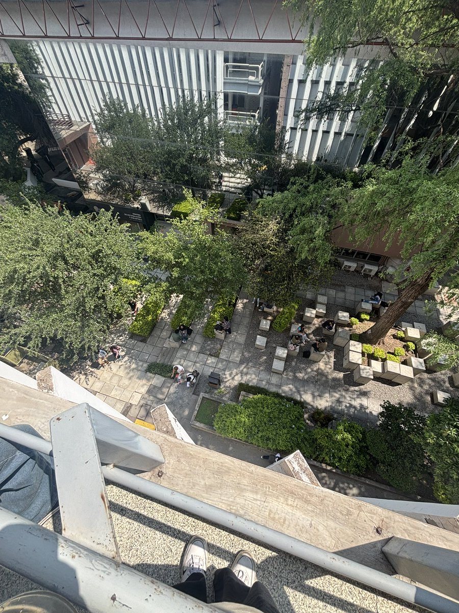 vivi sevEN-🪽 tweet media