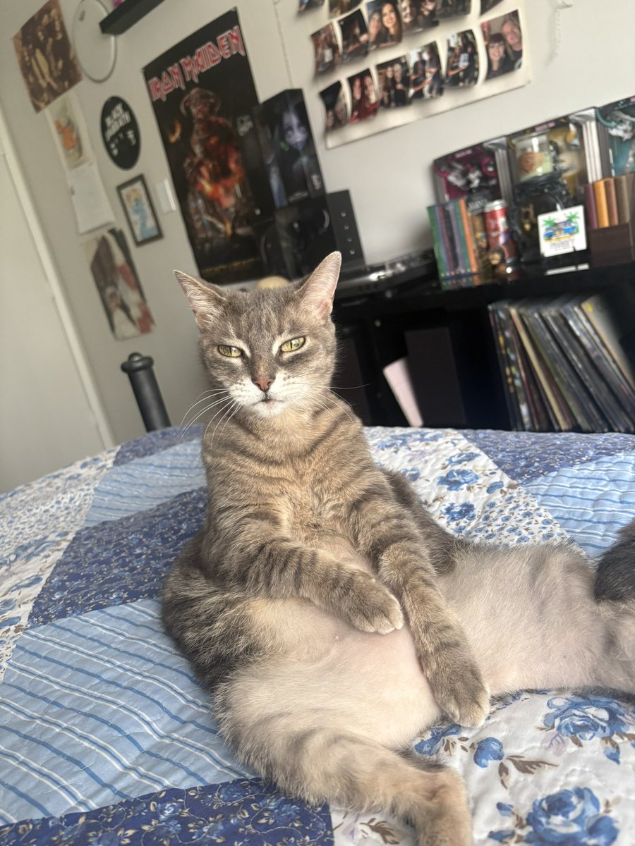 𝖈𝖆𝖗𝖔𝖚 tweet media