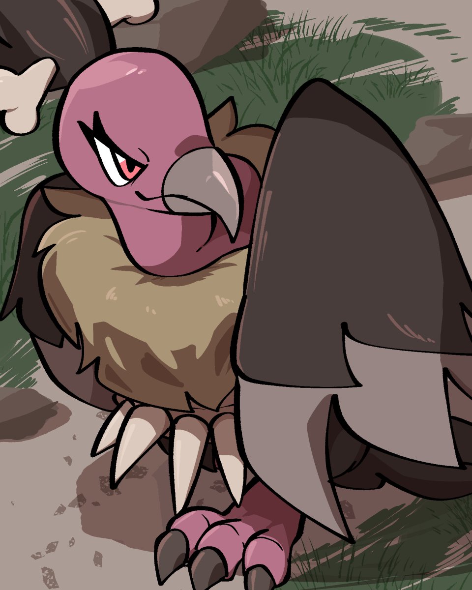 やさいのひと (@lettuce_retas) on Twitter photo 