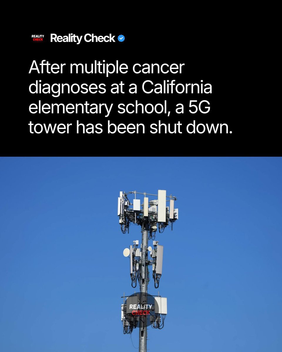 🧬Maxpein🧬 tweet media