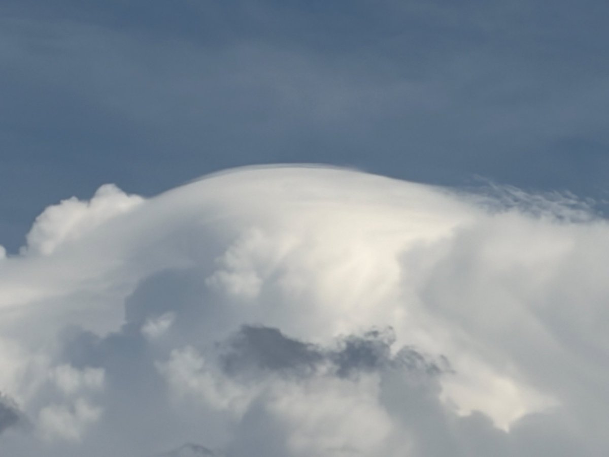 Kaitlin Farrell tweet media