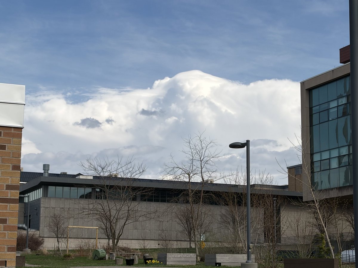 Kaitlin Farrell tweet media