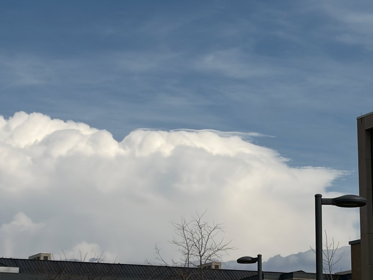 Kaitlin Farrell tweet media