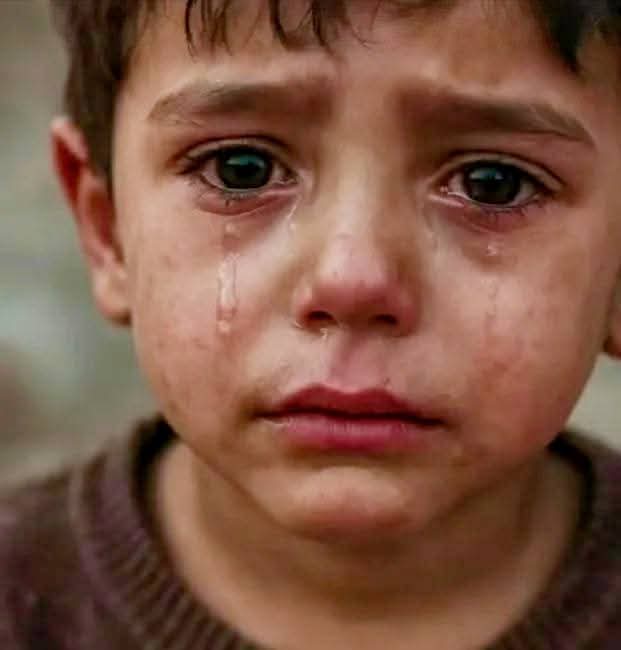 شموخ...🌹اليمن.. 🇾🇪 tweet media