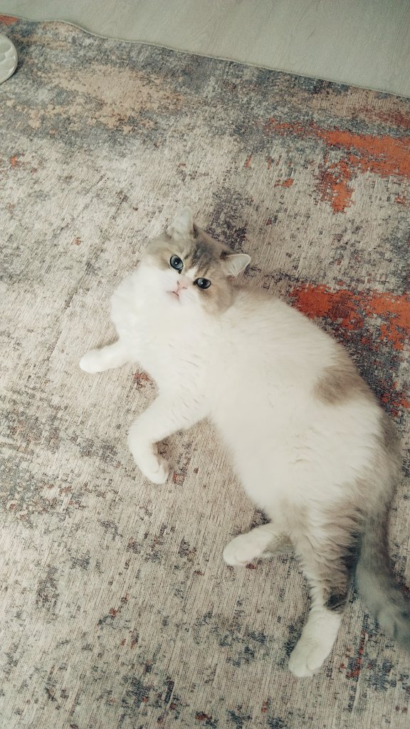 Çok güzelsin çok güzelimmmm💕
#mia
