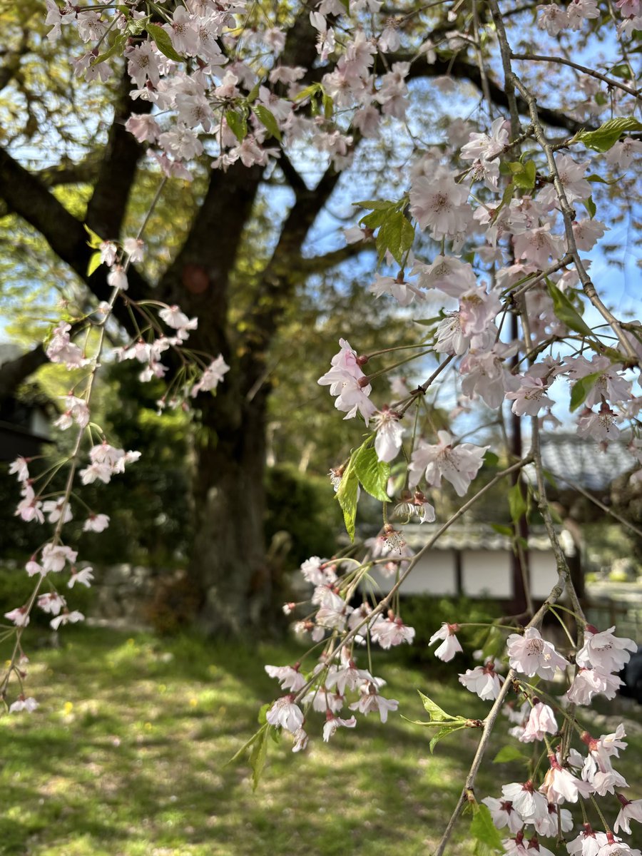 みか＠キャンプ好き tweet media