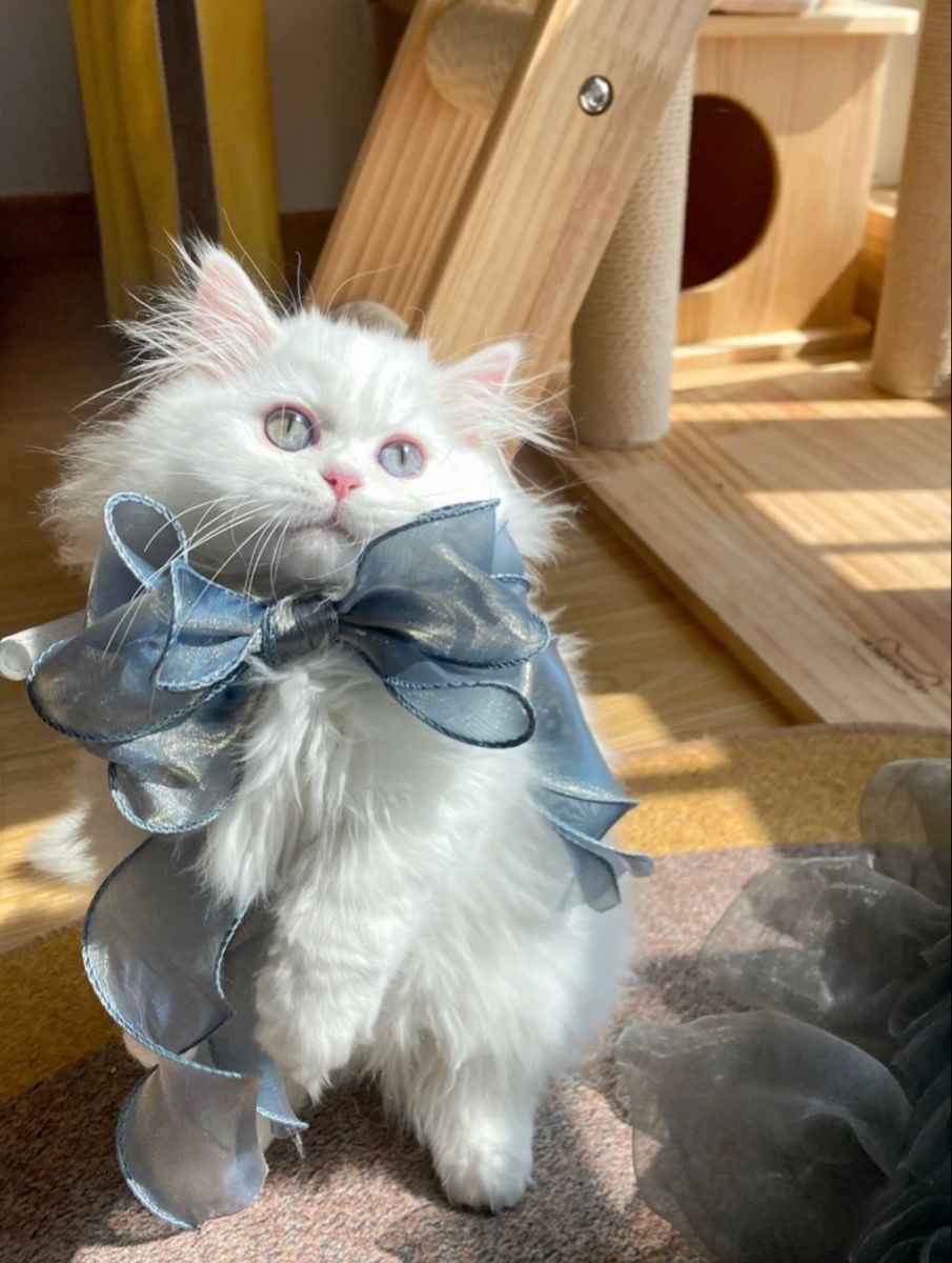 ⋆ 𝒎el tweet media