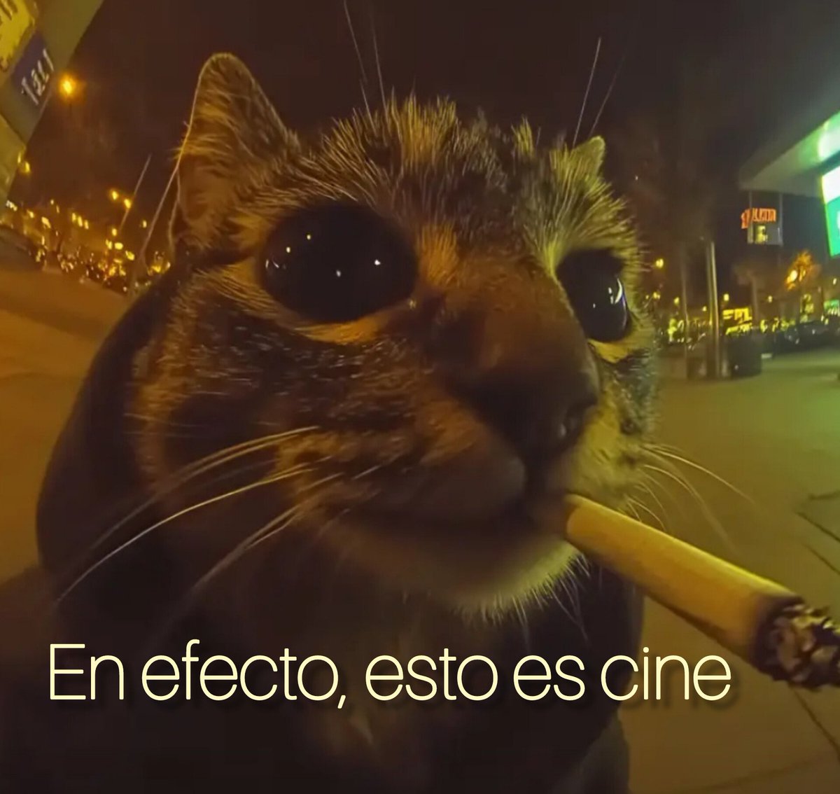 Emmanuel Mendez tweet media