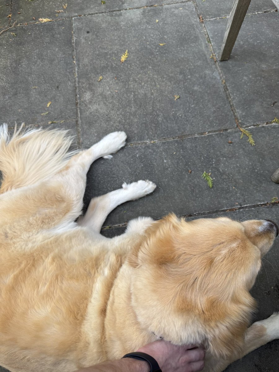 Leonard “Doc” Samson tweet media