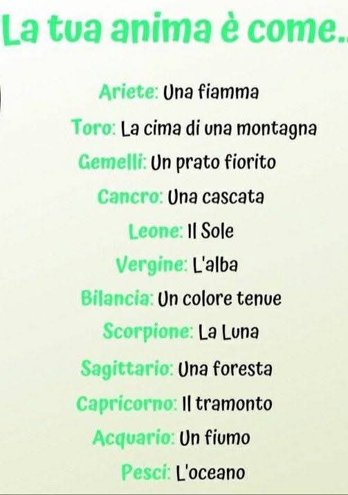 reginarusul ☀️☀️🌊⛱️🐬 tweet media