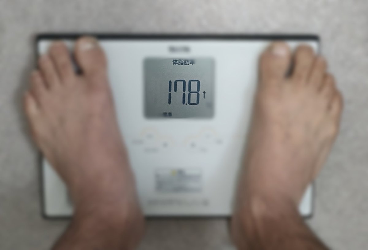 こいも tweet media