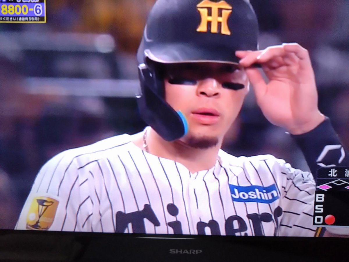 藤川監督🐯今季熱覇目指す❗トラキチ🏟🐯 tweet media