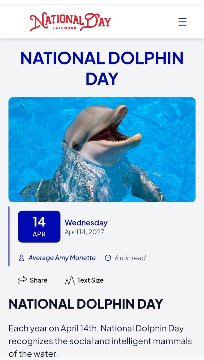 Fins Nation UK Fan Club 🇬🇧🐬 tweet media