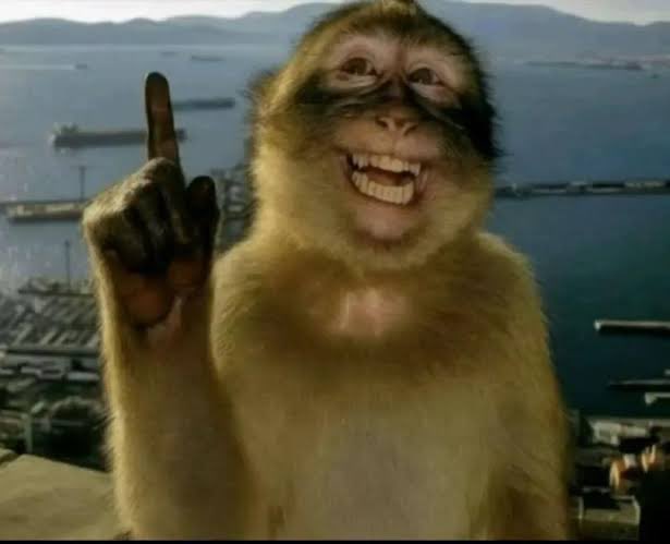 lsverminghao's tweet image. qualquer oportunidade de passeio no colegio eu to assim me candidatando para acompanhar