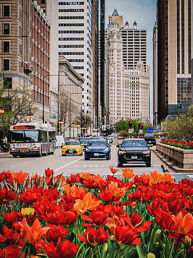 JoshuaMellin's tweet image. 💐 Spring, Sprang, SPRUNG #Chicago instagram.com/p/DXIBj4Mn5B8/…