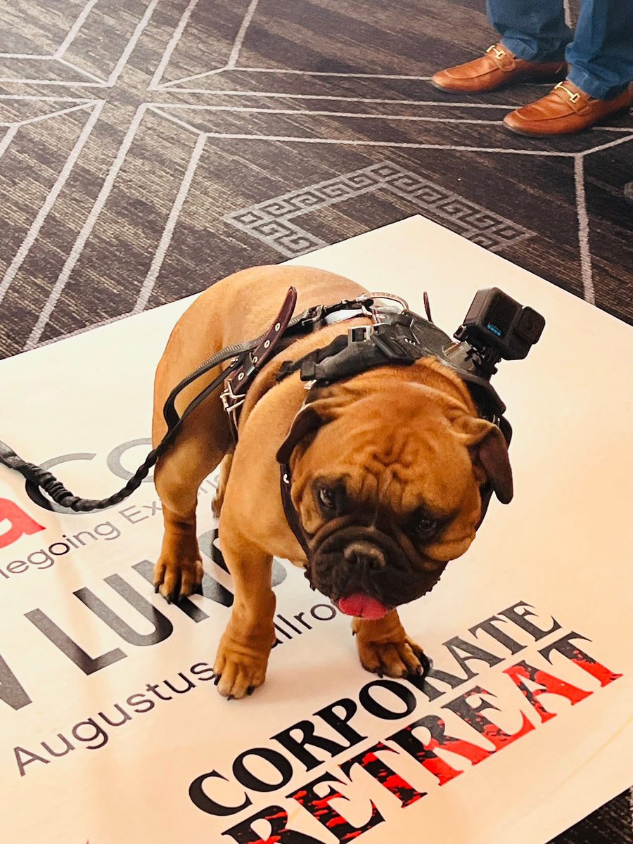 Aurora Cineplex tweet media