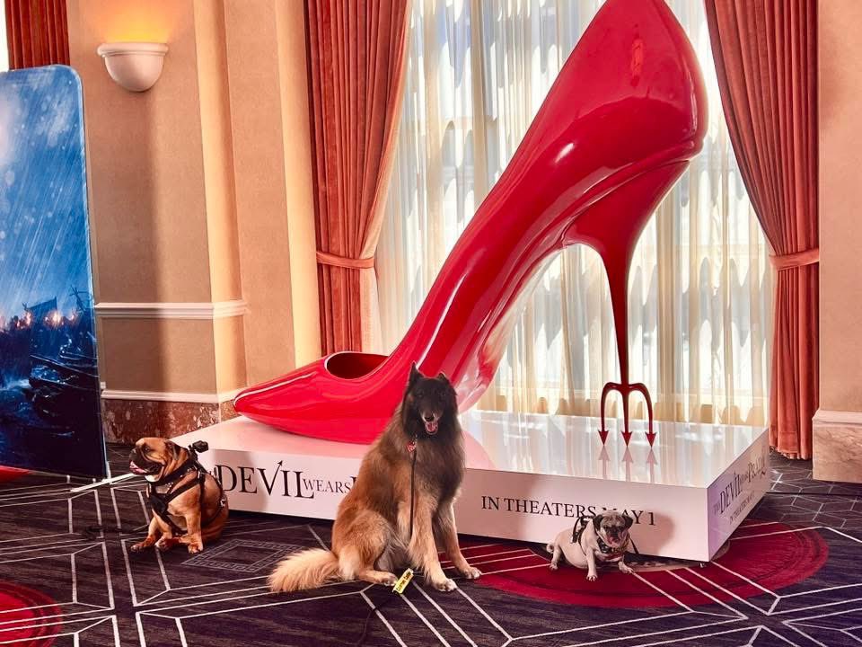 Aurora Cineplex tweet media