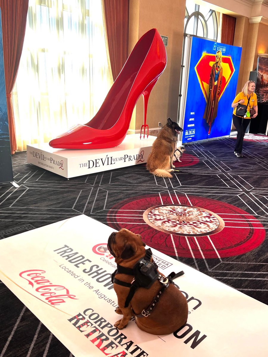 Aurora Cineplex tweet media