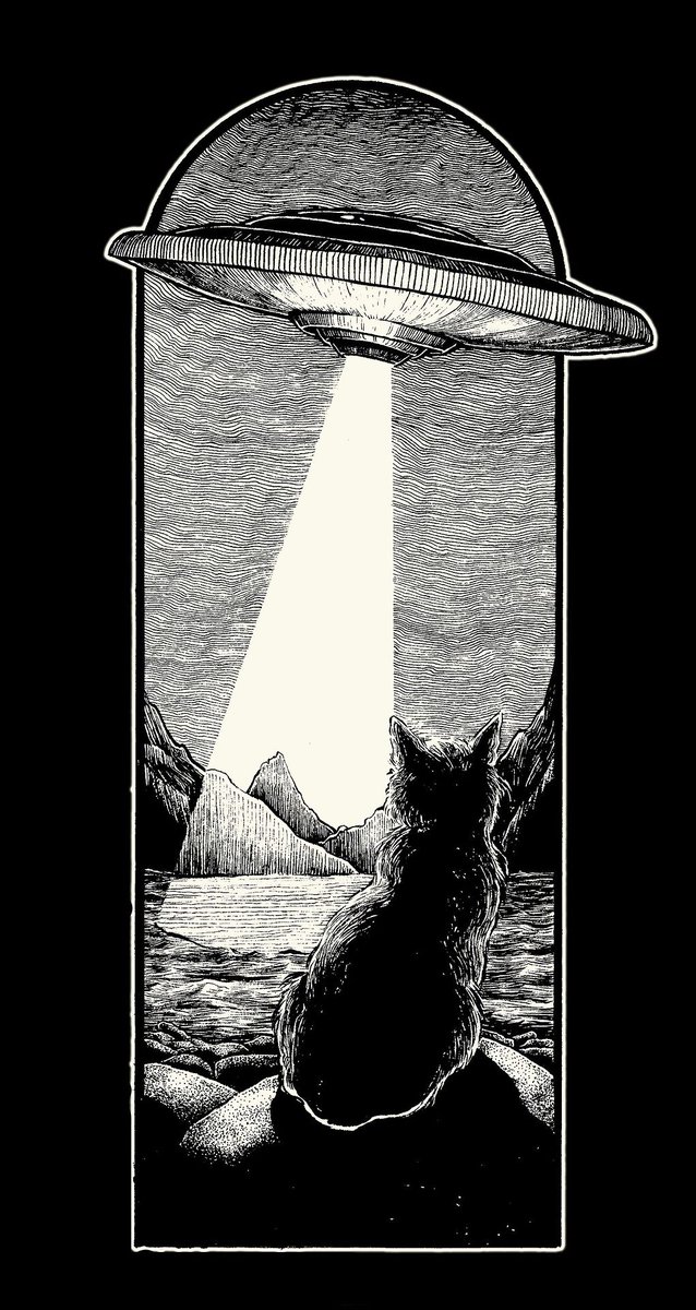 Black. (@blackdreamvibes) on Twitter photo 