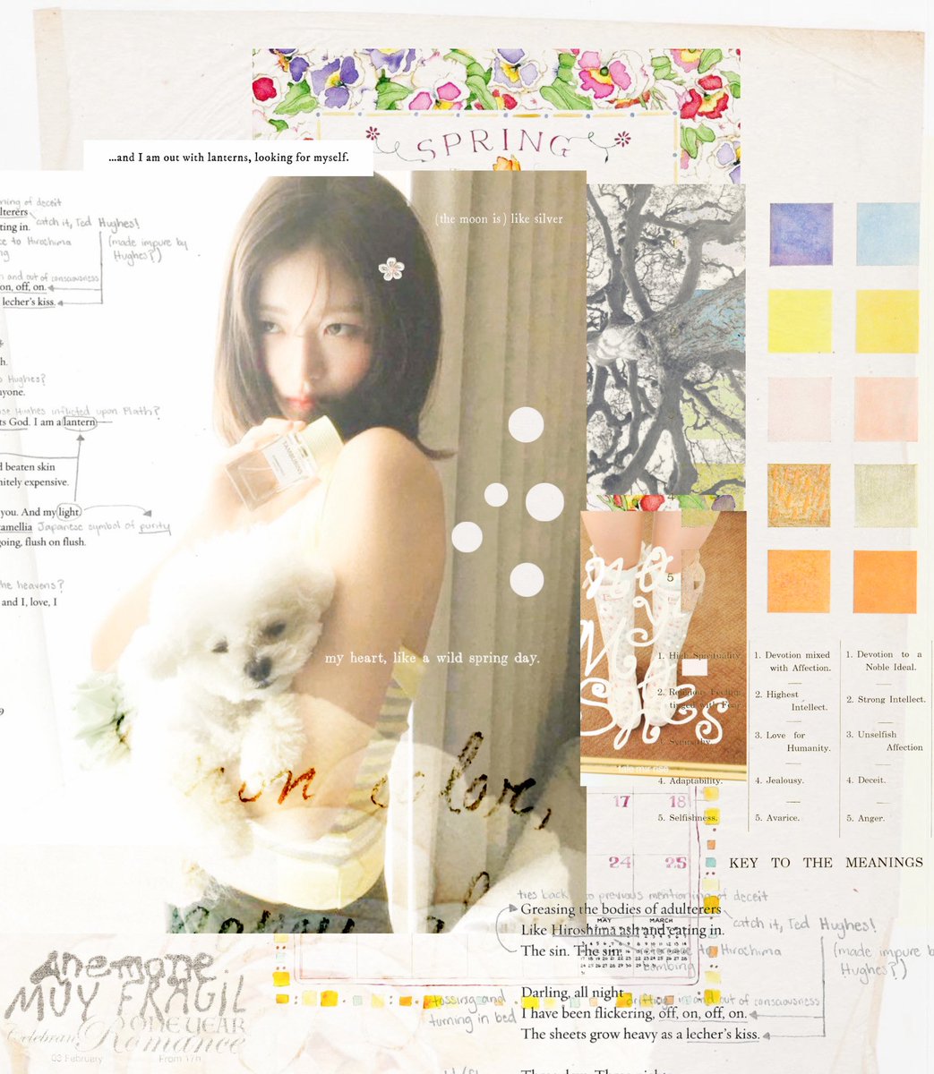 franbee, ♥︎ tweet media