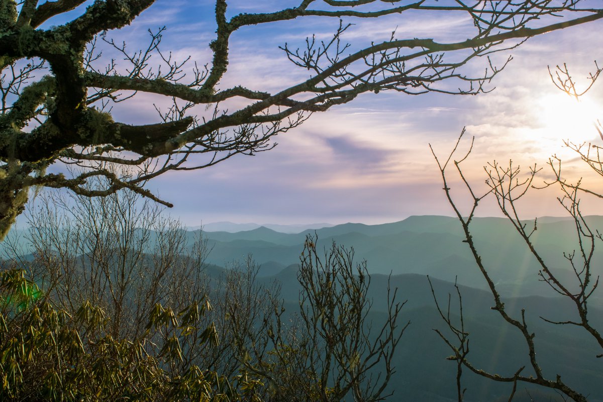 DSeymour tweet media