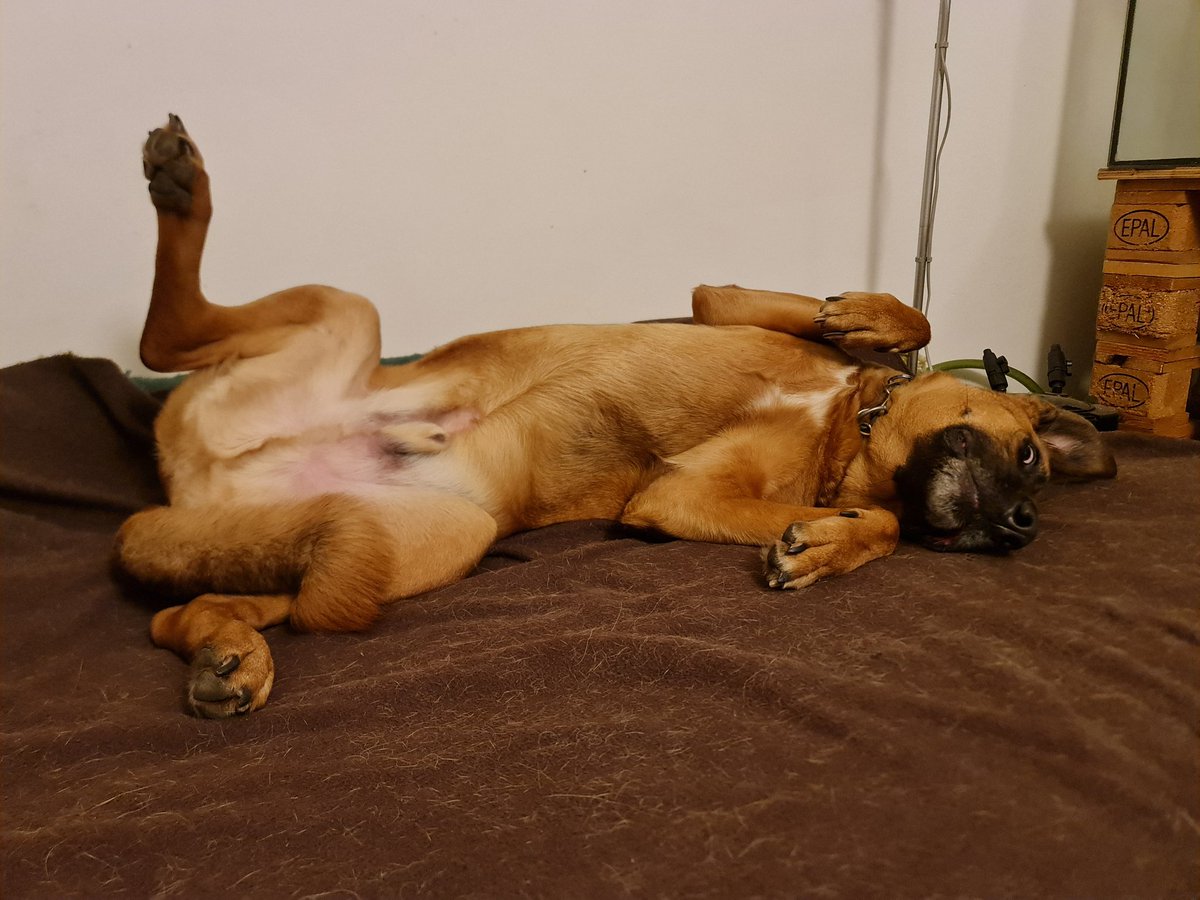 Mamo, drbej! Koukej to belmo ;)
Emilko, jsi otravny! ;)

#emil_sinclair