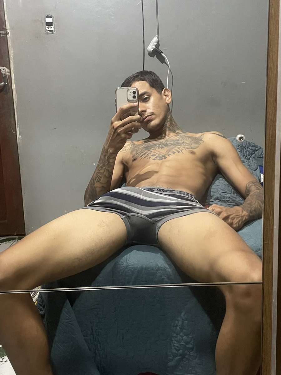 novinho20 tweet media