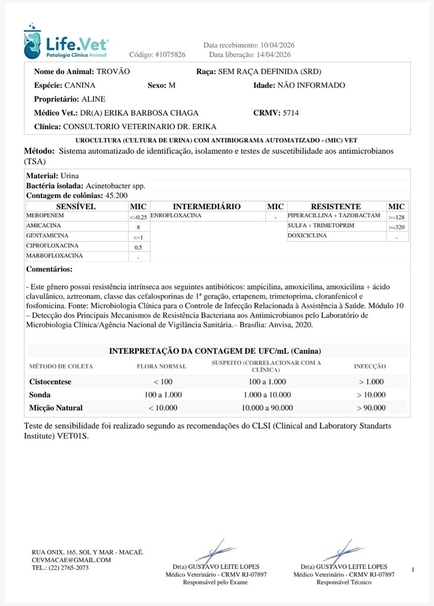 Amigos do Sonso tweet media