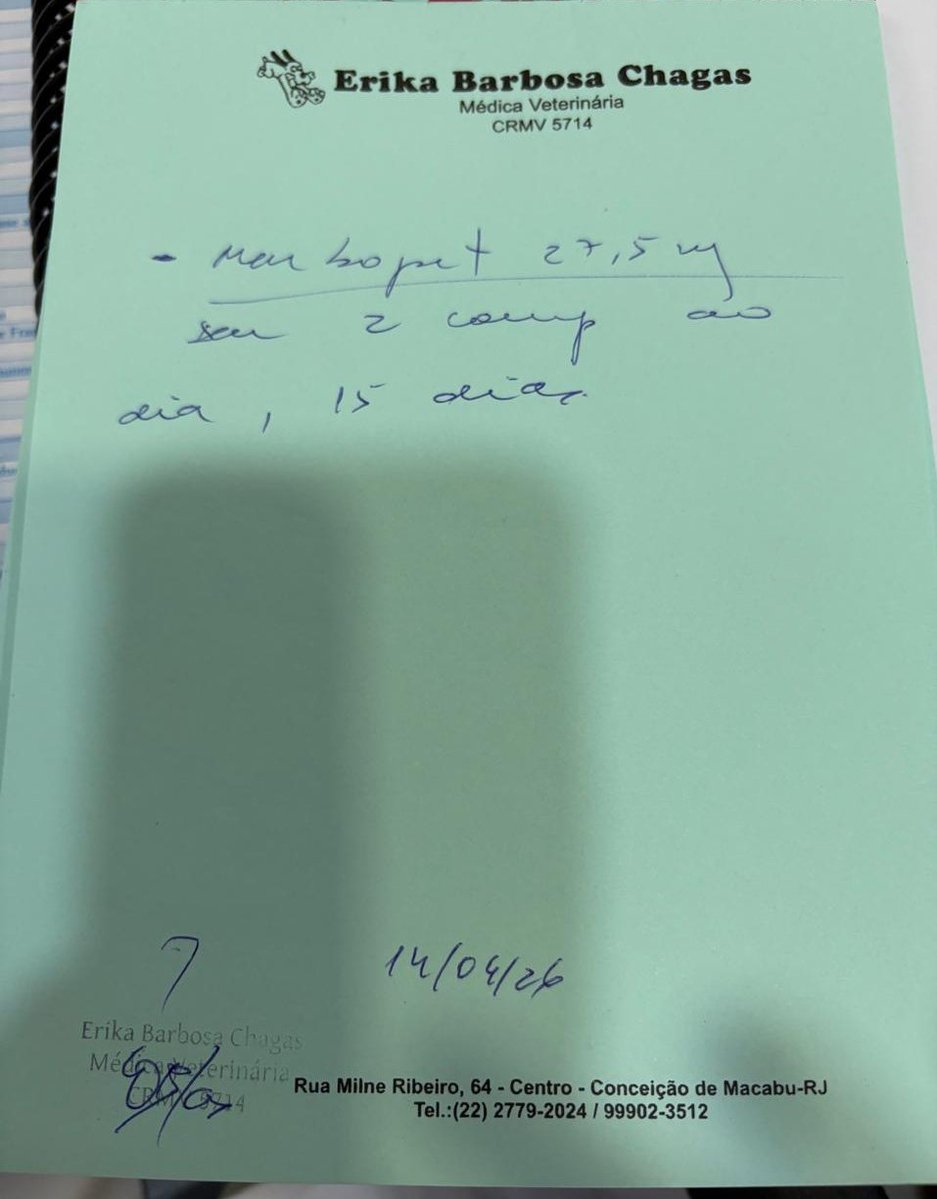 Amigos do Sonso tweet media