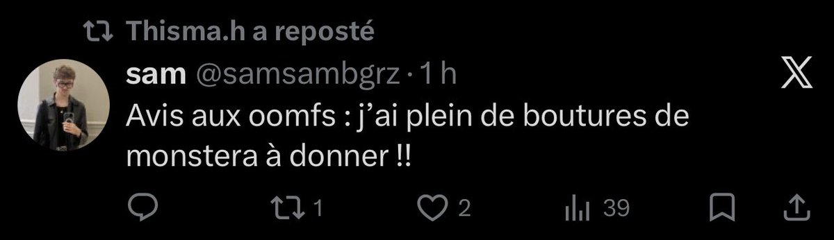 arielle 2balles tweet media