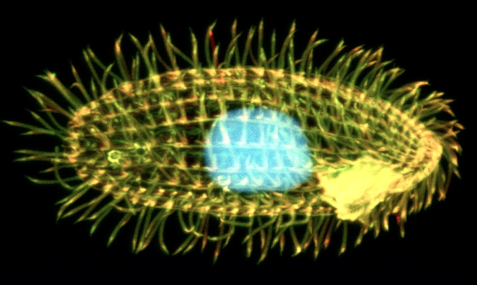 $ABCL It seems to me like AbCellera is seeking to be a Zero to One company in GPCR targeting antibodies: 
 
GPCRs are one of the most validated classes of drug targets in medicine, with about 1/3 of all FDA-approved drugs targeting GPCRs. Yet virtually none of them are