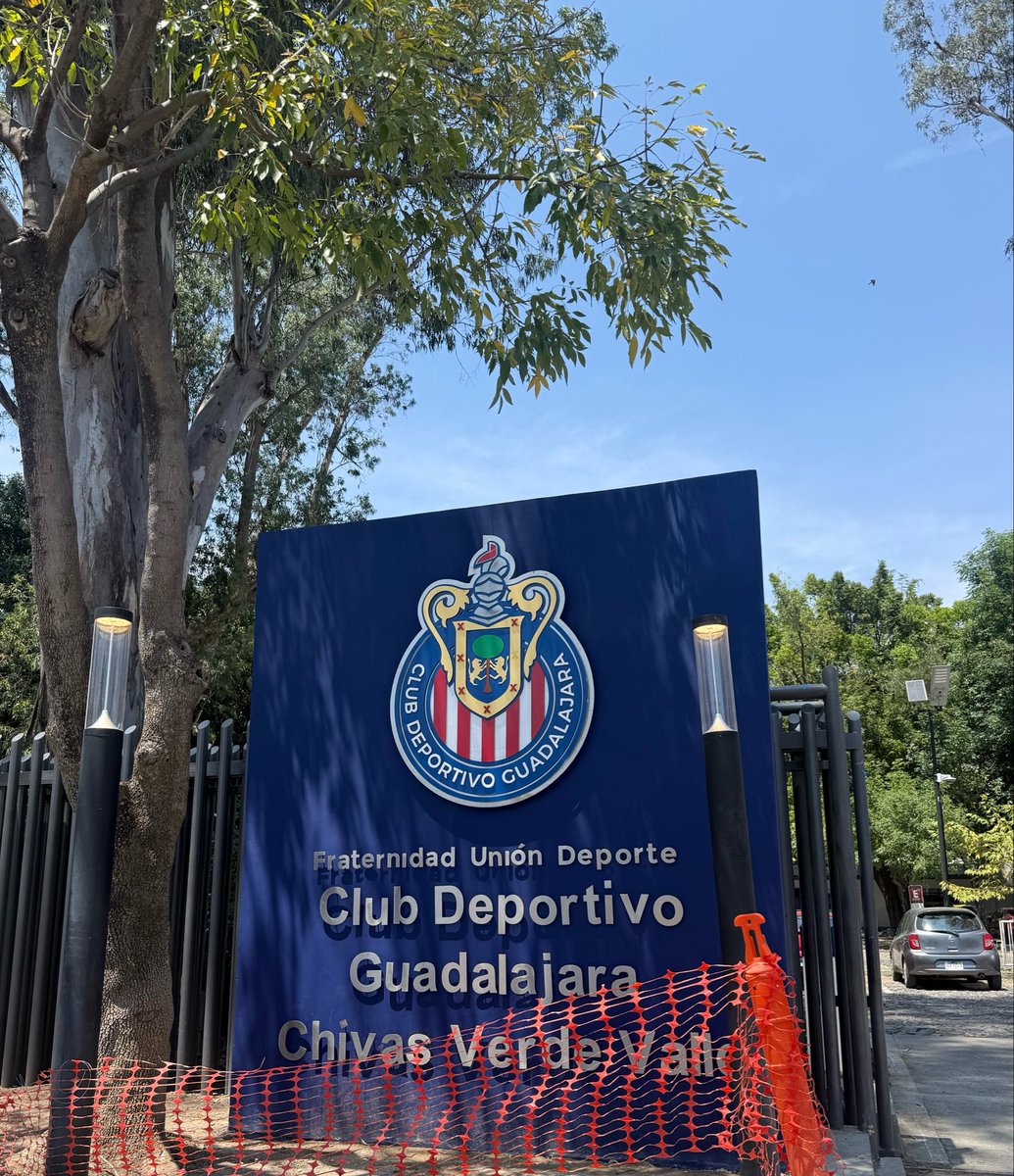 Adal Franco ☀️ tweet media