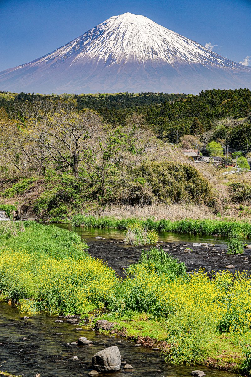 たかたか tweet media