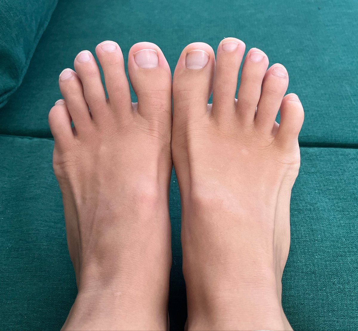 VelvetToes tweet media