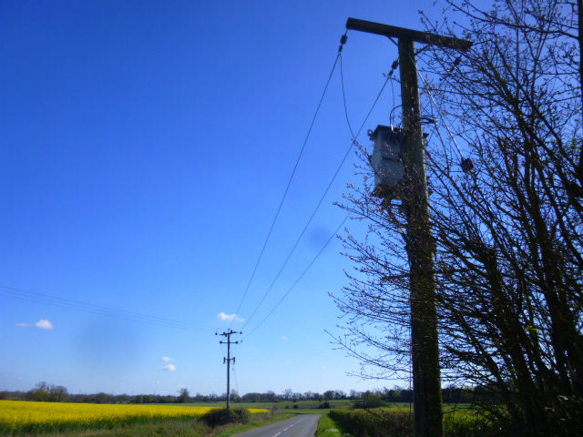 santapaws tweet media