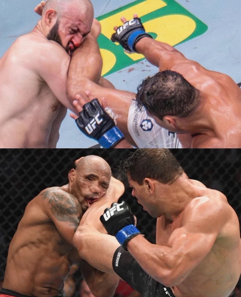 Elonov 🇦🇺 tweet media