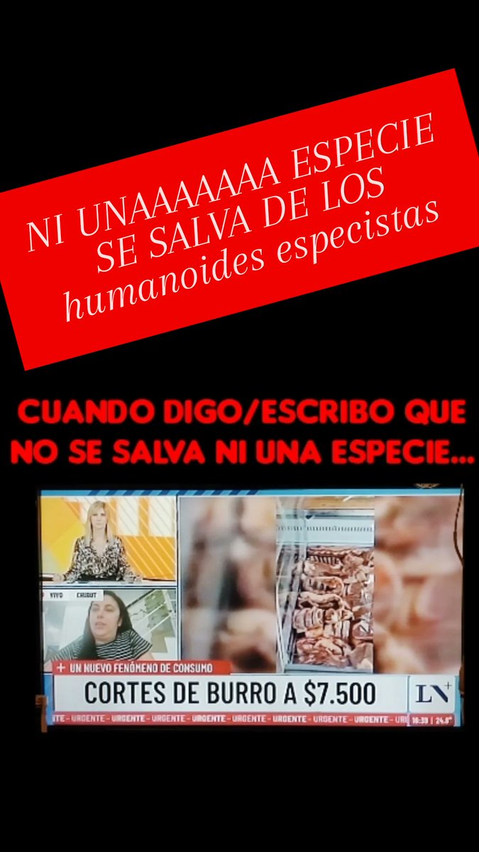 Aleja Gon (@alejagon27) on Twitter photo 