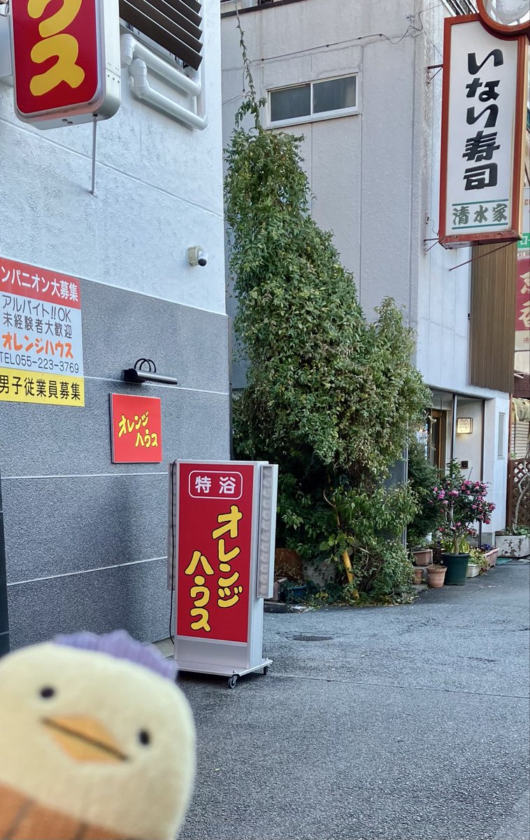 大橋彩🌸 tweet media
