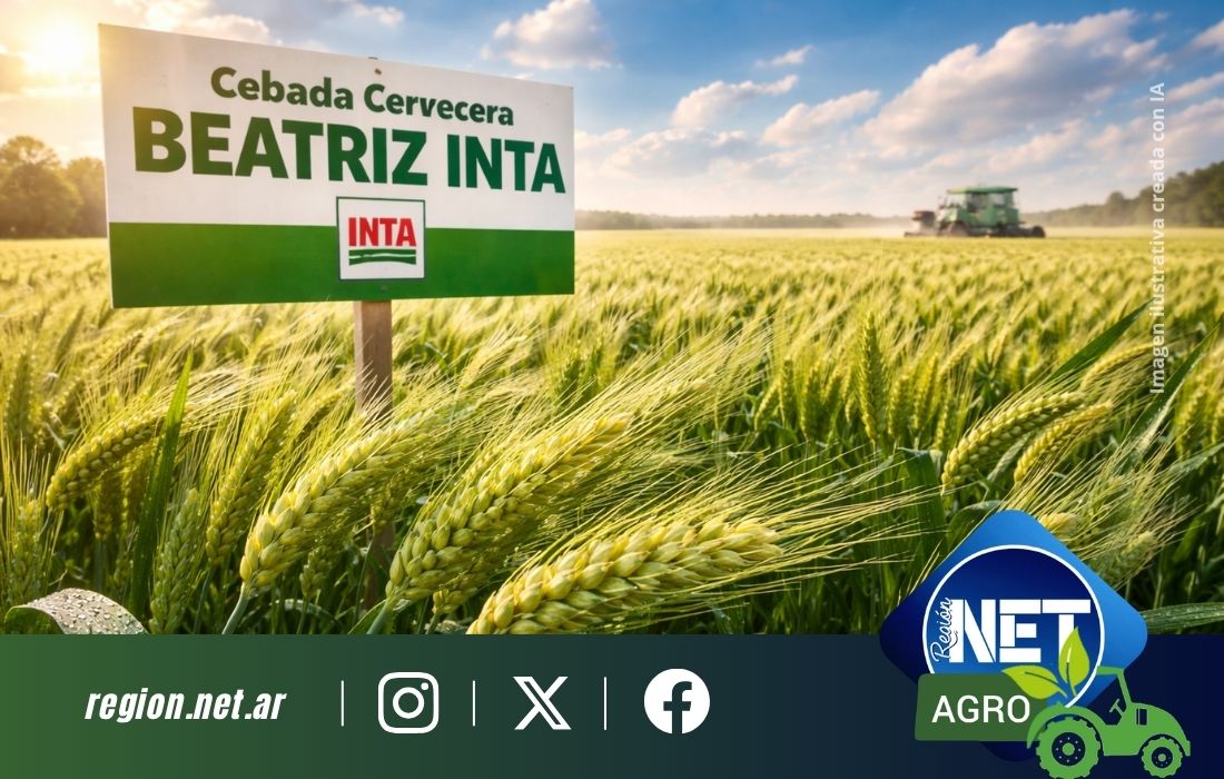 Región NET tweet media