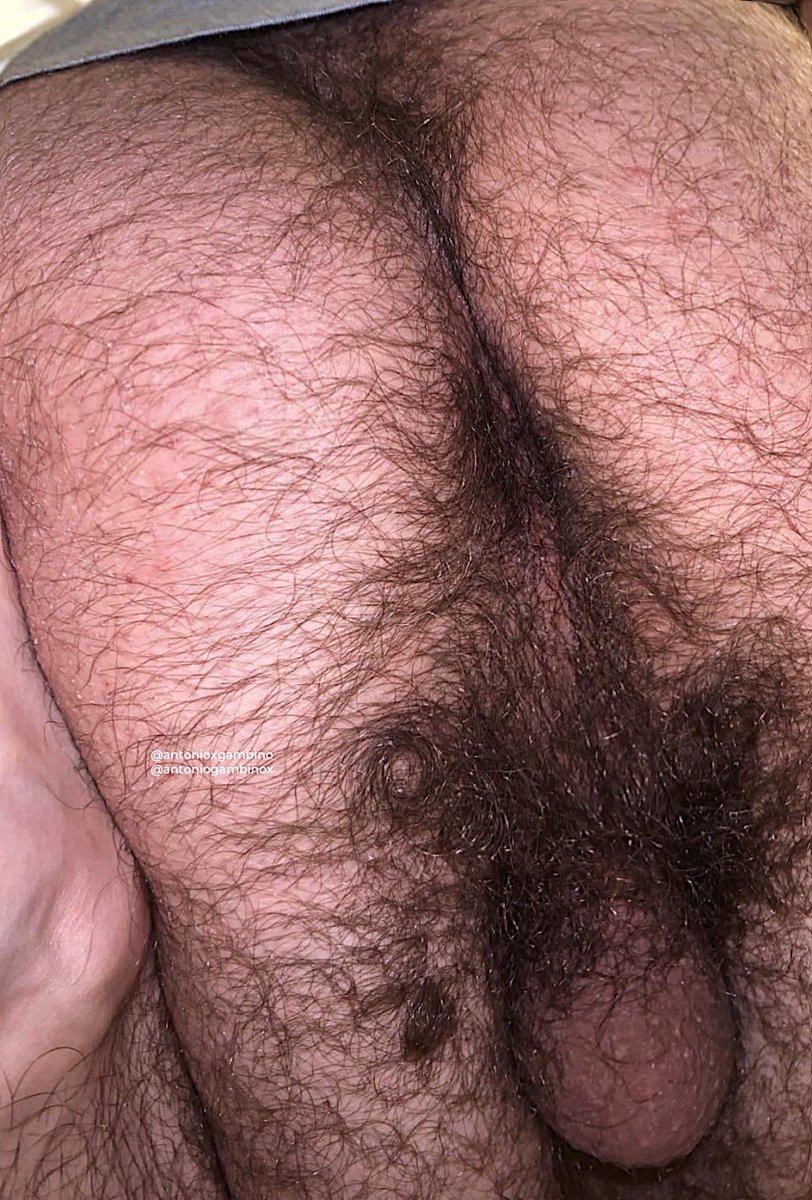 Antonio Gambino (Bush King 🤴) tweet media